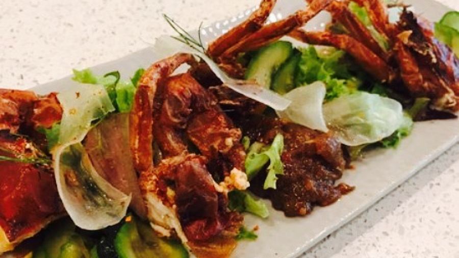 Japanese Grandma's Cafe