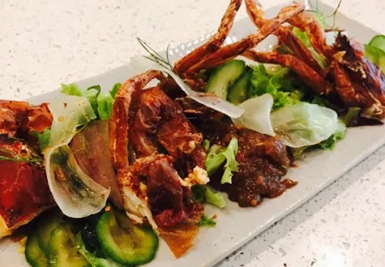 Japanese Grandma’s Cafe