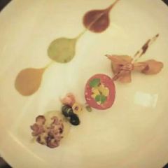 Jin Lu User Photo