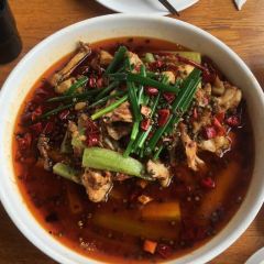 Green Tea User Photo