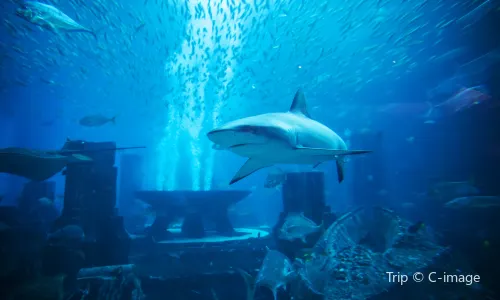 Norn Minakami Ski Resort