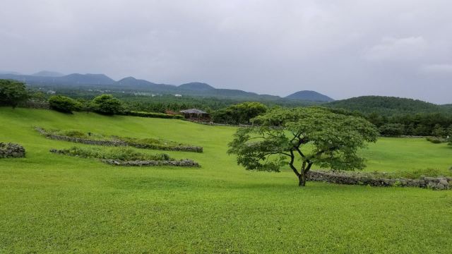 山君不離
