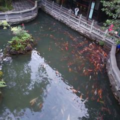 Yuquanyuan User Photo
