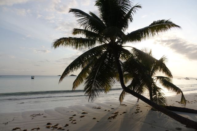 Anse Volbert Beach