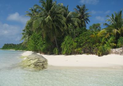 Funamadua