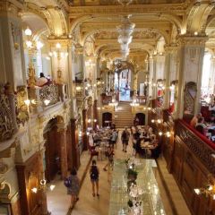 New York Café User Photo