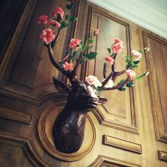 XIN BAI LU User Photo