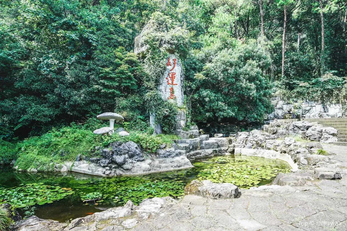 5_千島湖好運島