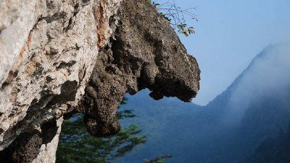 Shenfeng Pass Ecological Tourism Resort