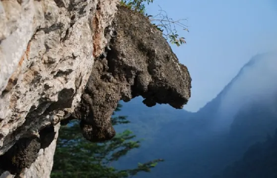 神峰關生態旅遊度假區蜂蛹石林門票成人