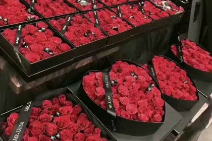 肯德基（明泰百貨蘇錫路店）（明泰百貨蘇錫路店）