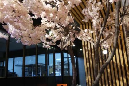 Modianmiaoyu (xueshengjie)