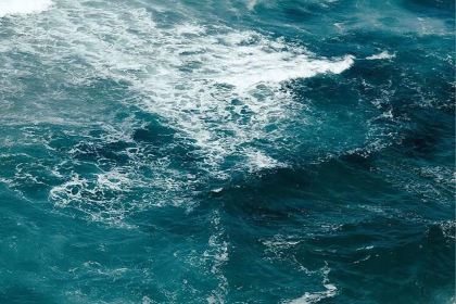 麥當勞（南壇店）