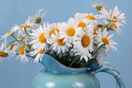 KEN DE JI XING FU AN CHANG DIAN