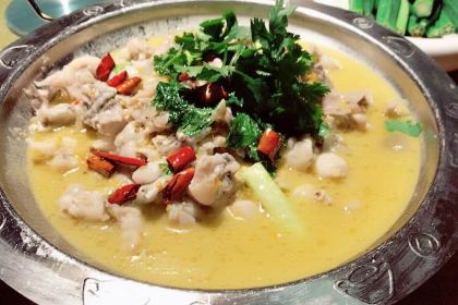 ZHOU MA PO CAI MAO DIAN