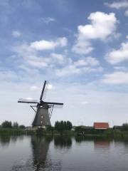 Kinderdijk