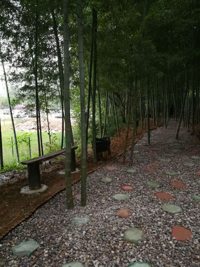 Taiji Wuse Valley