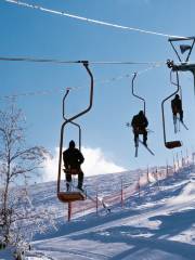 Sapporo International Ski Resort