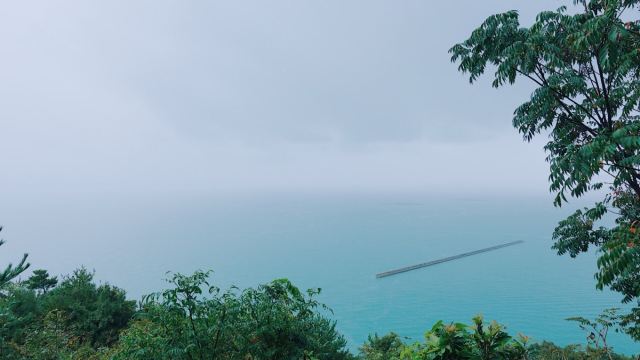 豐島美術館