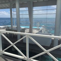 Pavilion Pool Bar User Photo