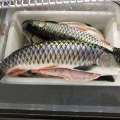 芳芳菜馆(上清古镇店) User Photo