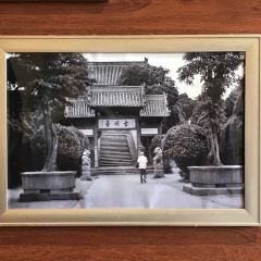稻香居鍋貼（宋都御街店）張用戶圖片
