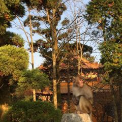 小院子酒家 User Photo