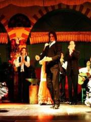 Tablao Flamenco El Palacio Andaluz