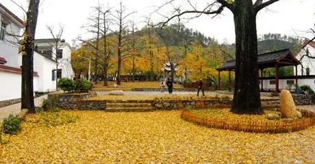 清泉自然科學探索園