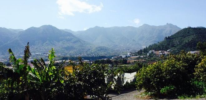 Guachinche La Cantera