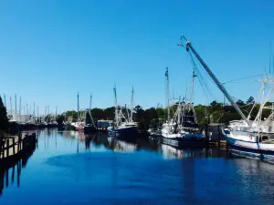 Bayou Produce And Seafood Market