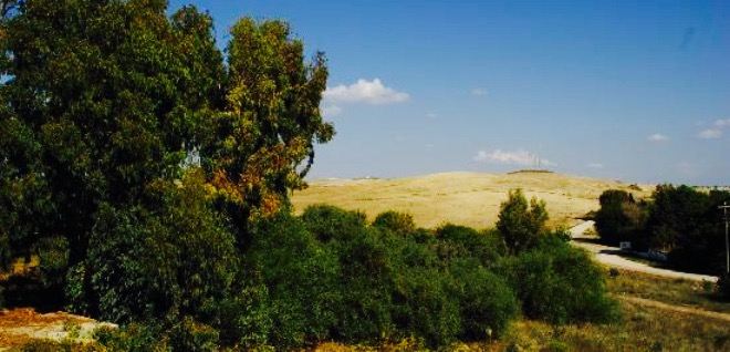 Salimin Yeri Balik Lokantasi