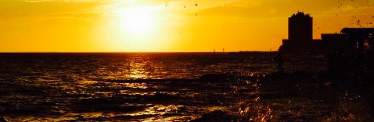 Scuba Lodge Restaurant