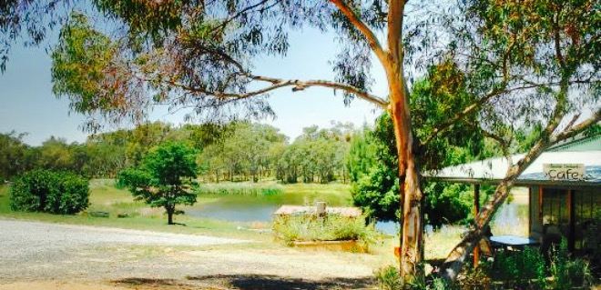 Allambie Orchard Cafe