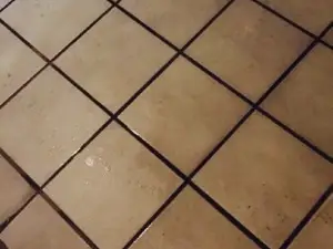 Los Mexicanos