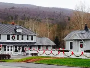 The Swinging Bridge