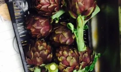 Agriturismo Monte Due Torri