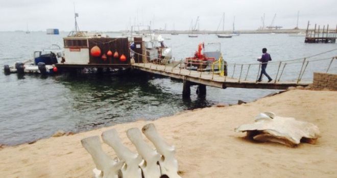 Anchors @ the Jetty