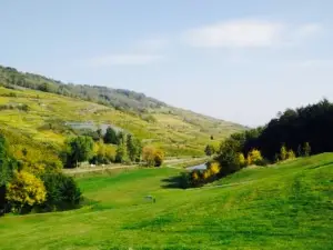 Restaurant du Golf