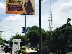 Brother Juniper's