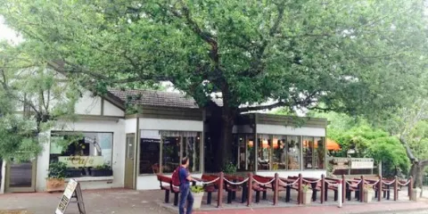 The German Cake Shop