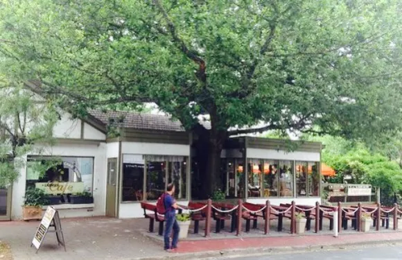 The German Cake Shop