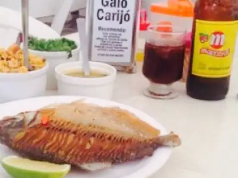 Galo Carijó