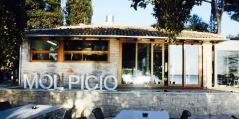 Mol Picio