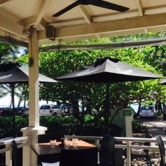 Vivo Palm Cove User Photo
