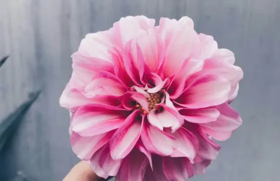 肯德基（濱海潤髮店）