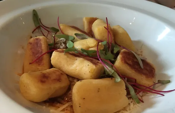 Sal Gastronomia