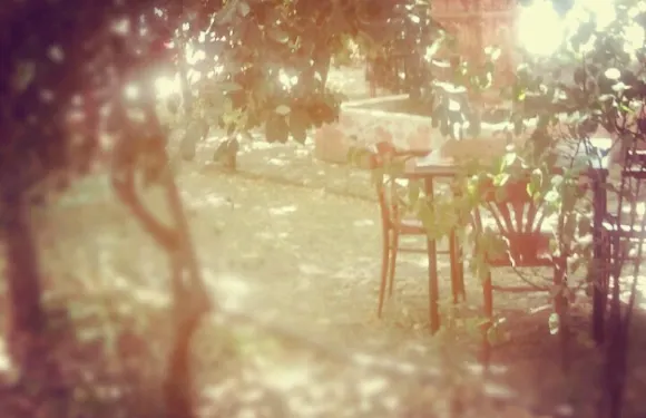 El Jardin del Mirador