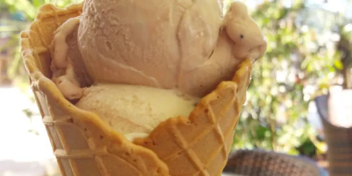 Caffe Pizzeria Do-Do