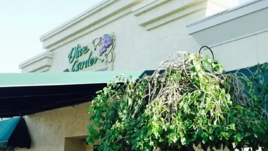 Olive Garden Italian Restaurant